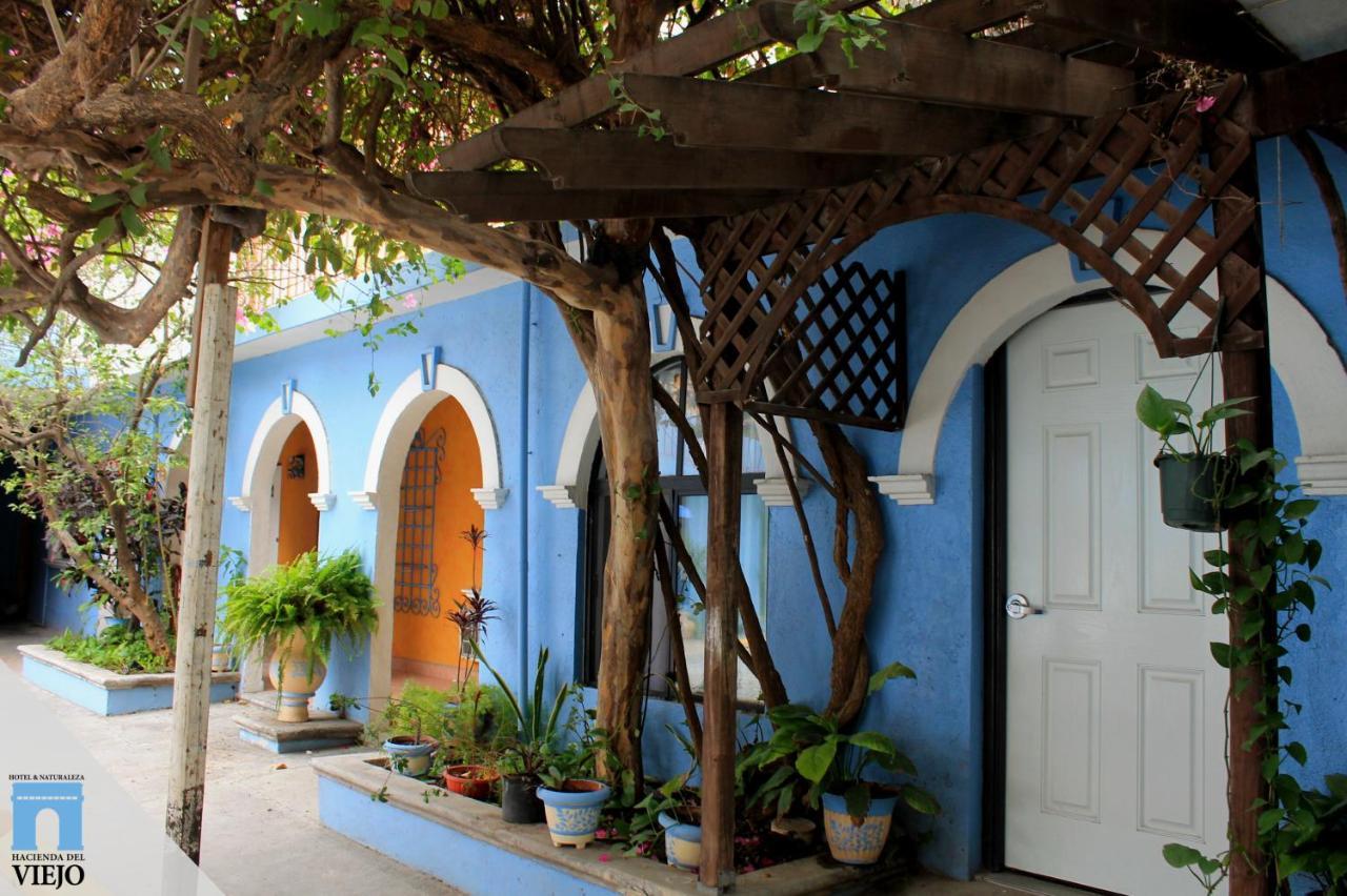 Hotel Hacienda Del Viejo Ματαμόρος Εξωτερικό φωτογραφία