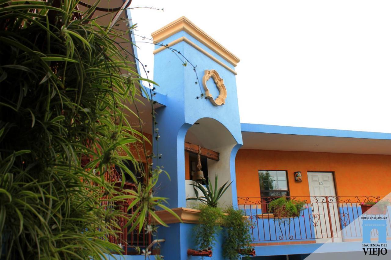Hotel Hacienda Del Viejo Ματαμόρος Εξωτερικό φωτογραφία