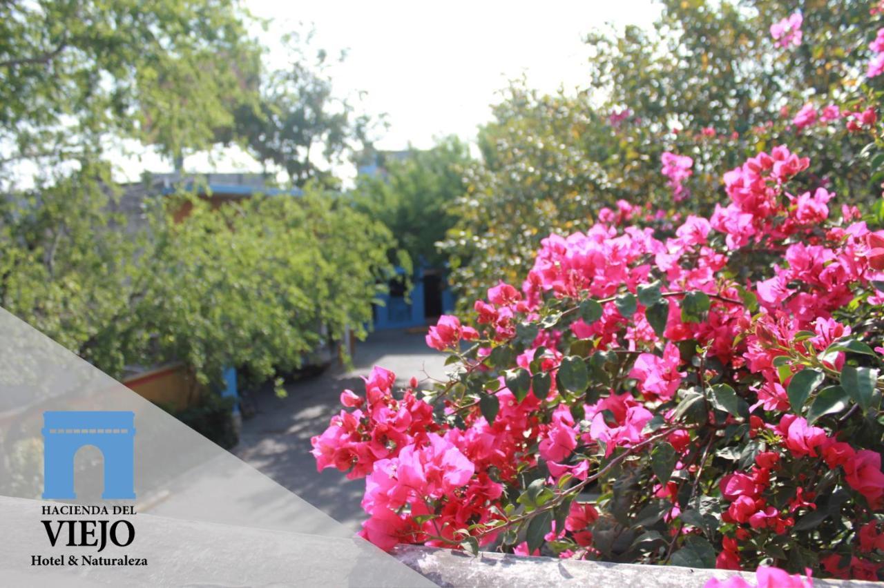 Hotel Hacienda Del Viejo Ματαμόρος Εξωτερικό φωτογραφία