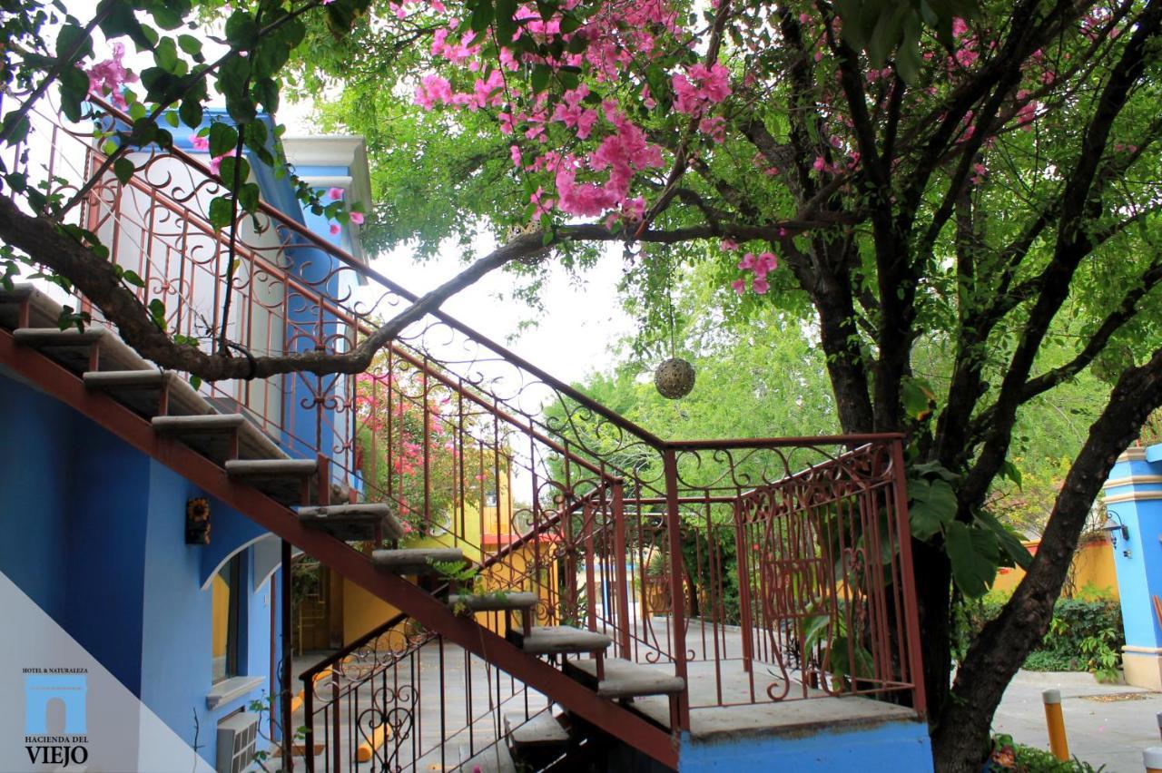 Hotel Hacienda Del Viejo Ματαμόρος Εξωτερικό φωτογραφία